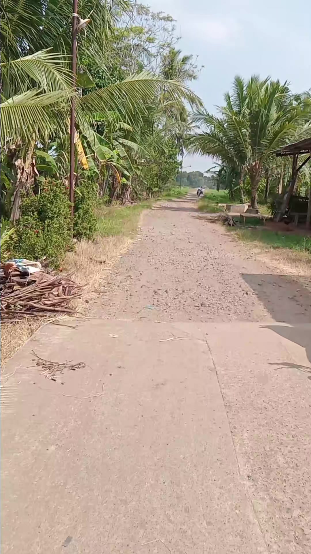 @ArifKingkong_