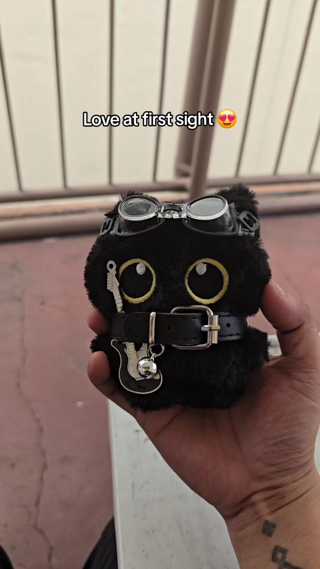 @RAYT 🛵