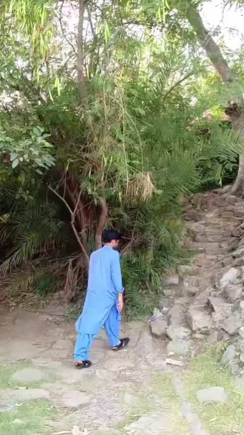 @arshadalibaloch100