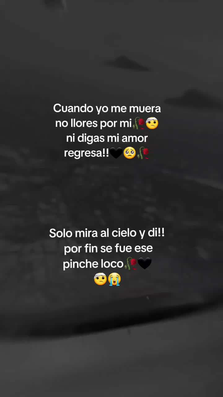 @Lian CH