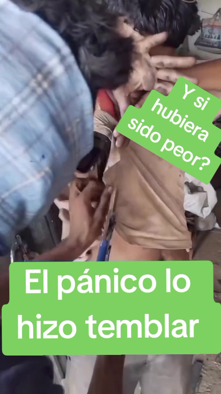 @JP Noticias y Variedades