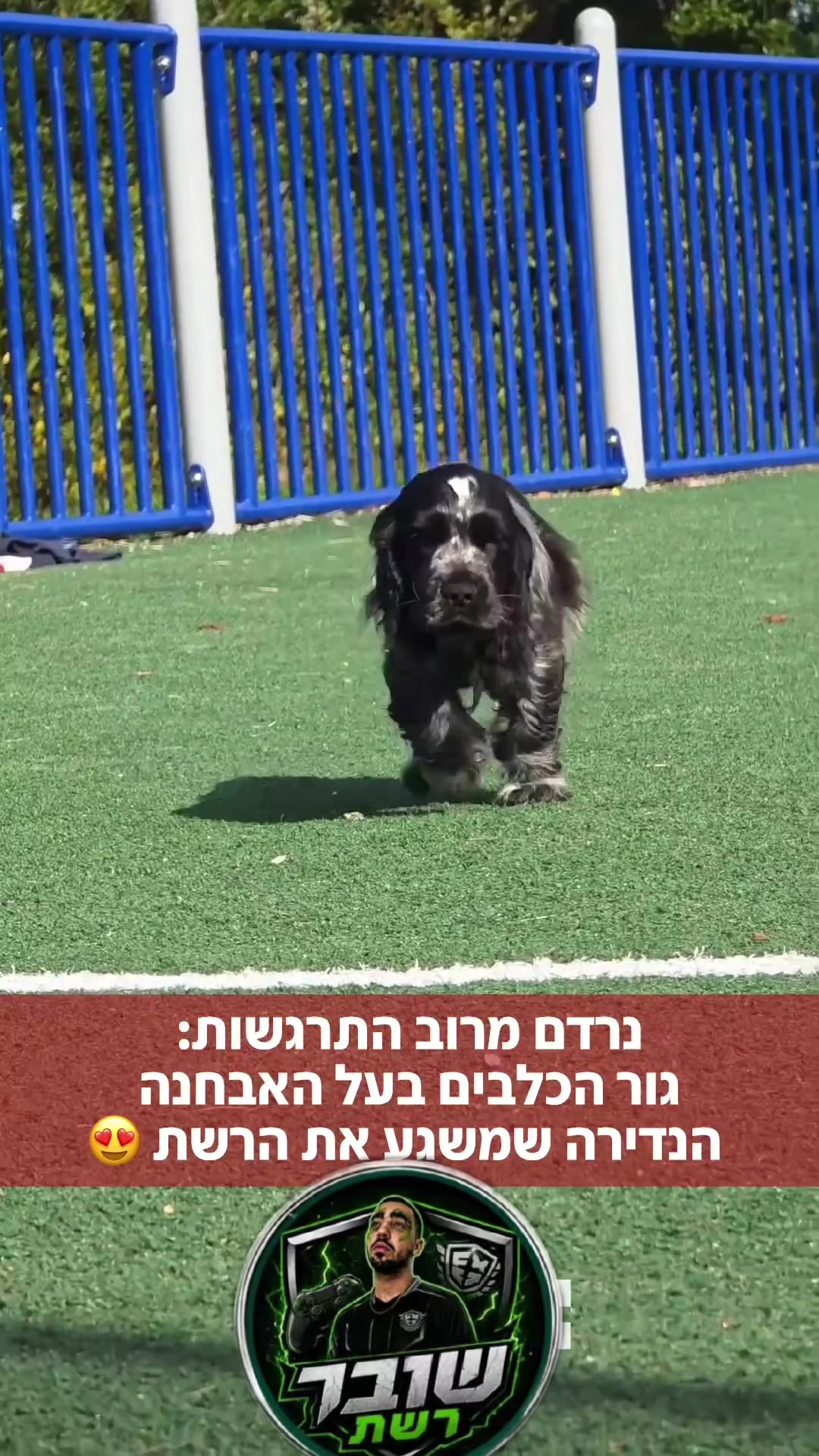 @שובר_רשת 🎮