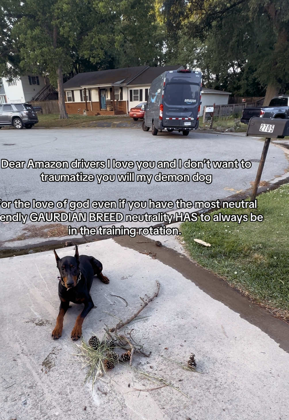 @Kiley - dog trainer