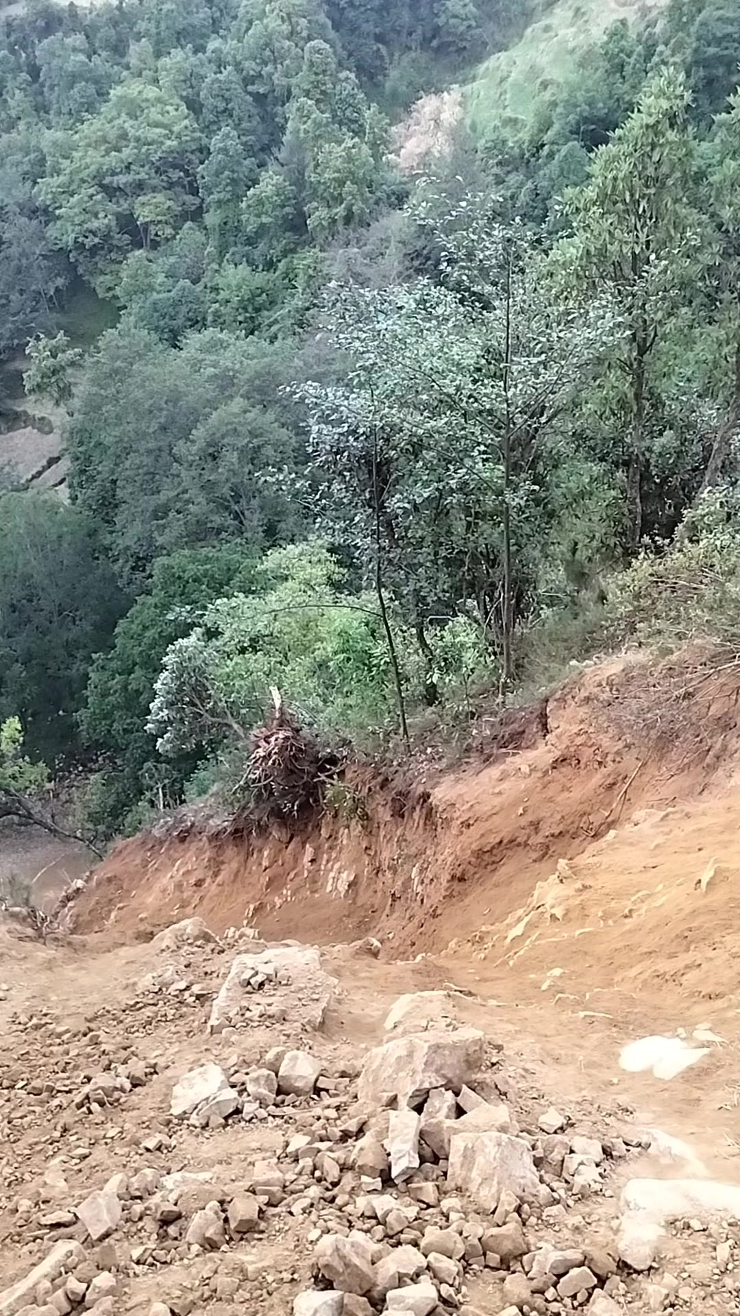 @ajaytamang