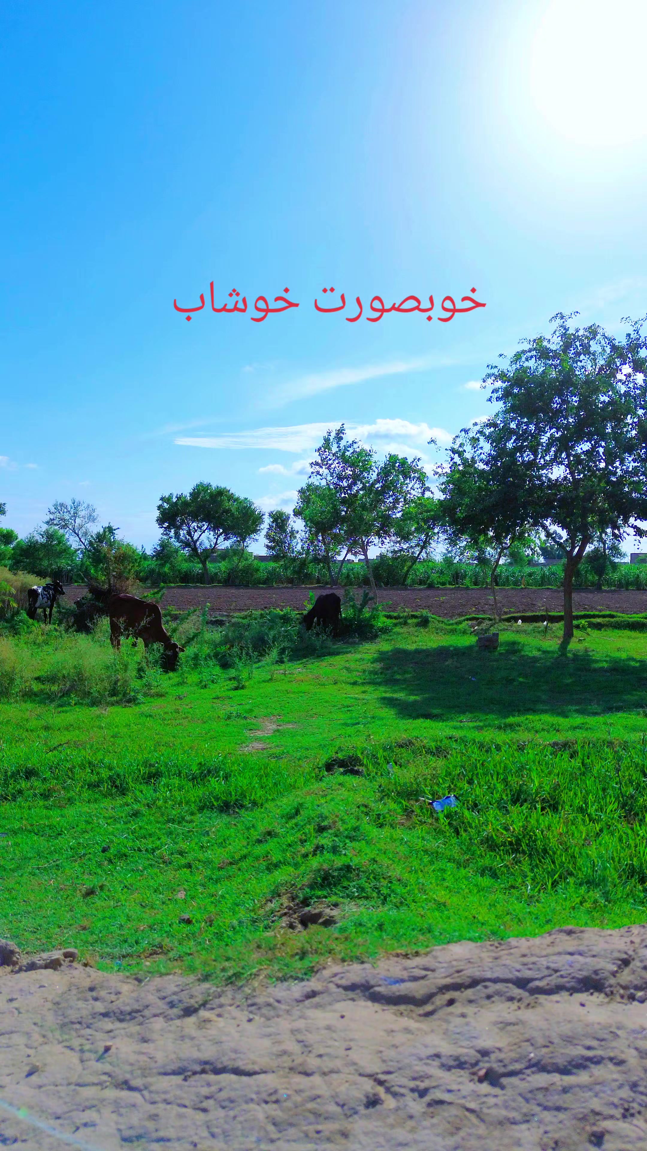 @أداس لوگ🍁