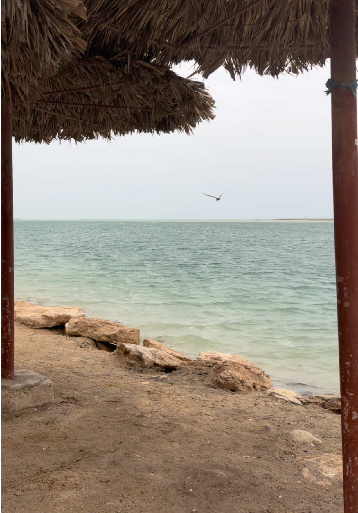 @HATIM 🐆 | حاتم الدايود