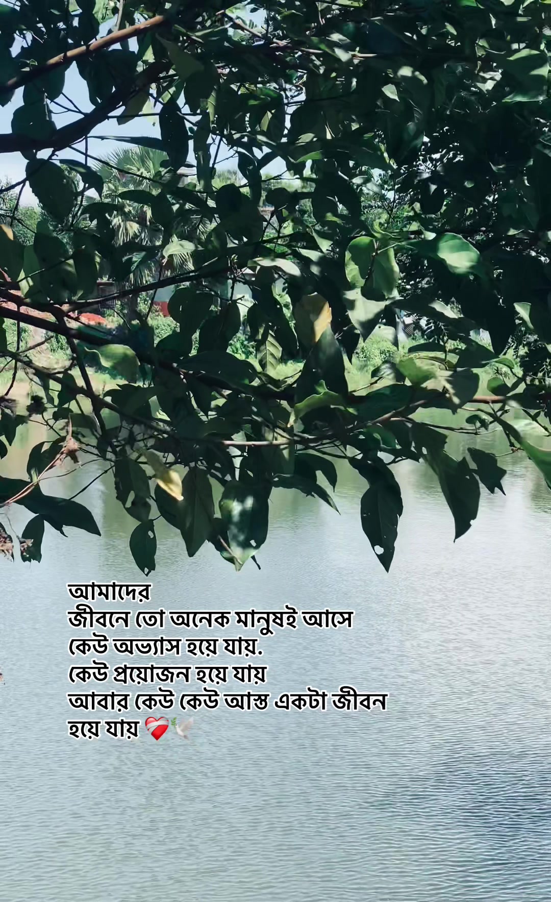 @_নিখোঁজ_