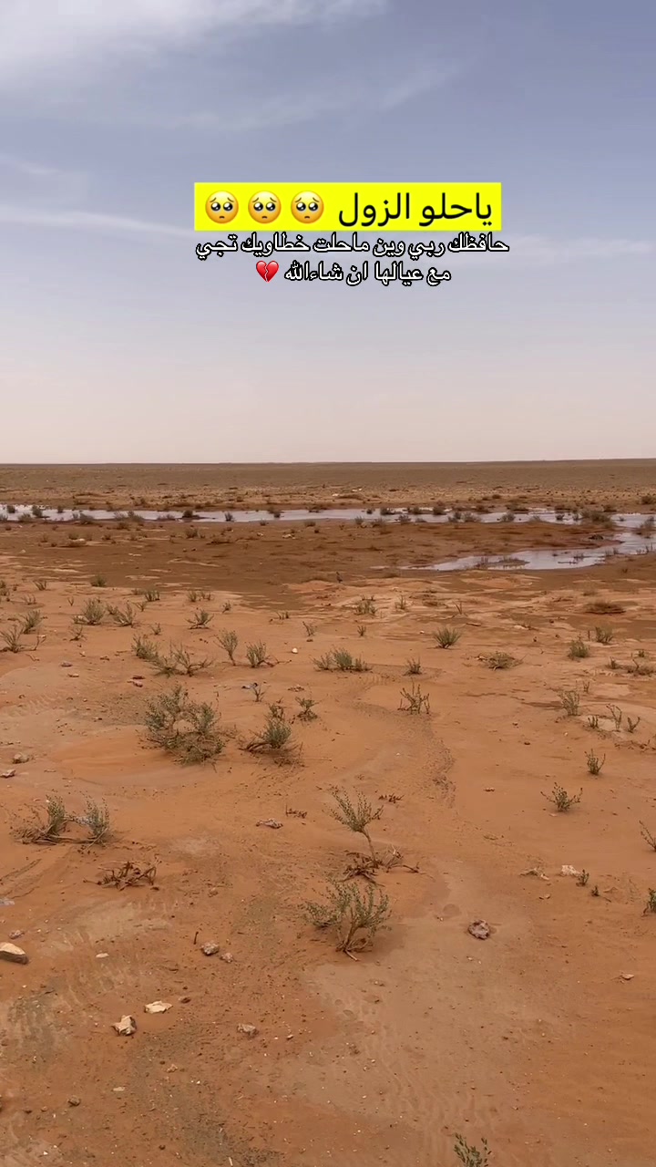 @نواف بن فرحان