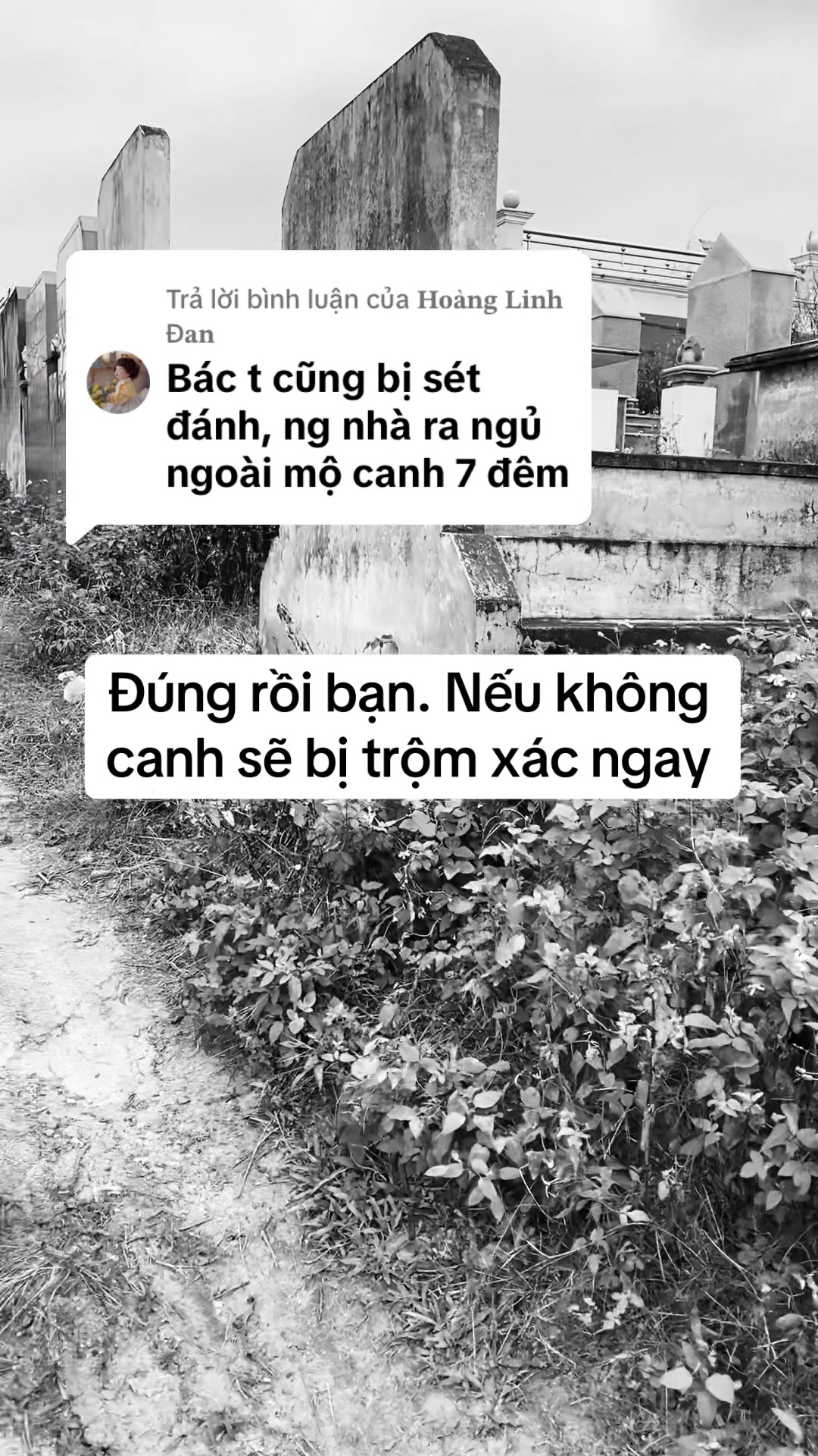 @Quốc Tiến ✅