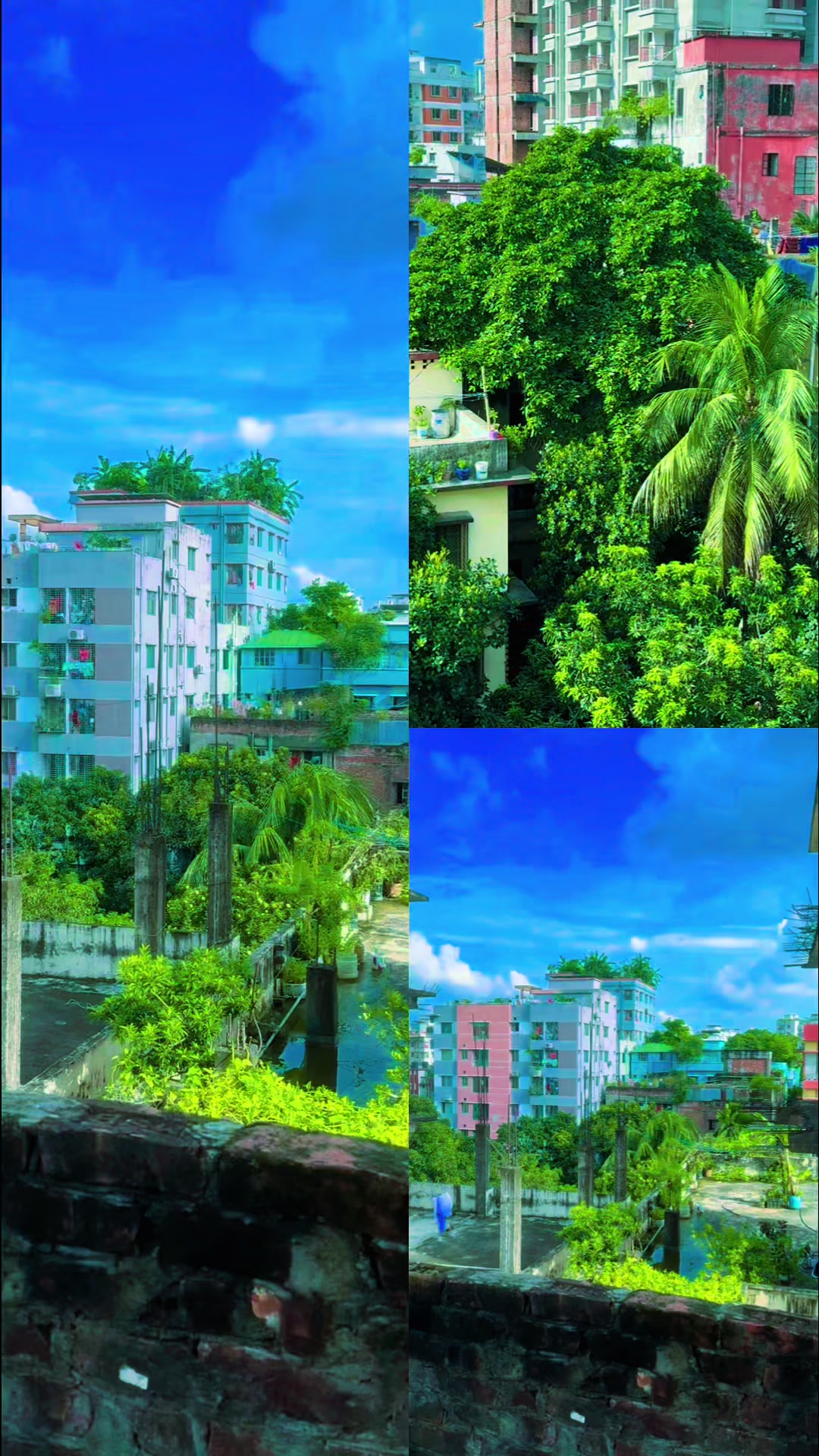 @Liza islam কষ্টে ভরা জীবন