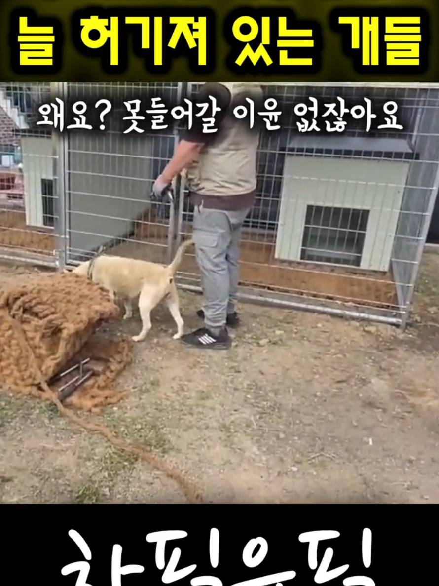 @하필유필