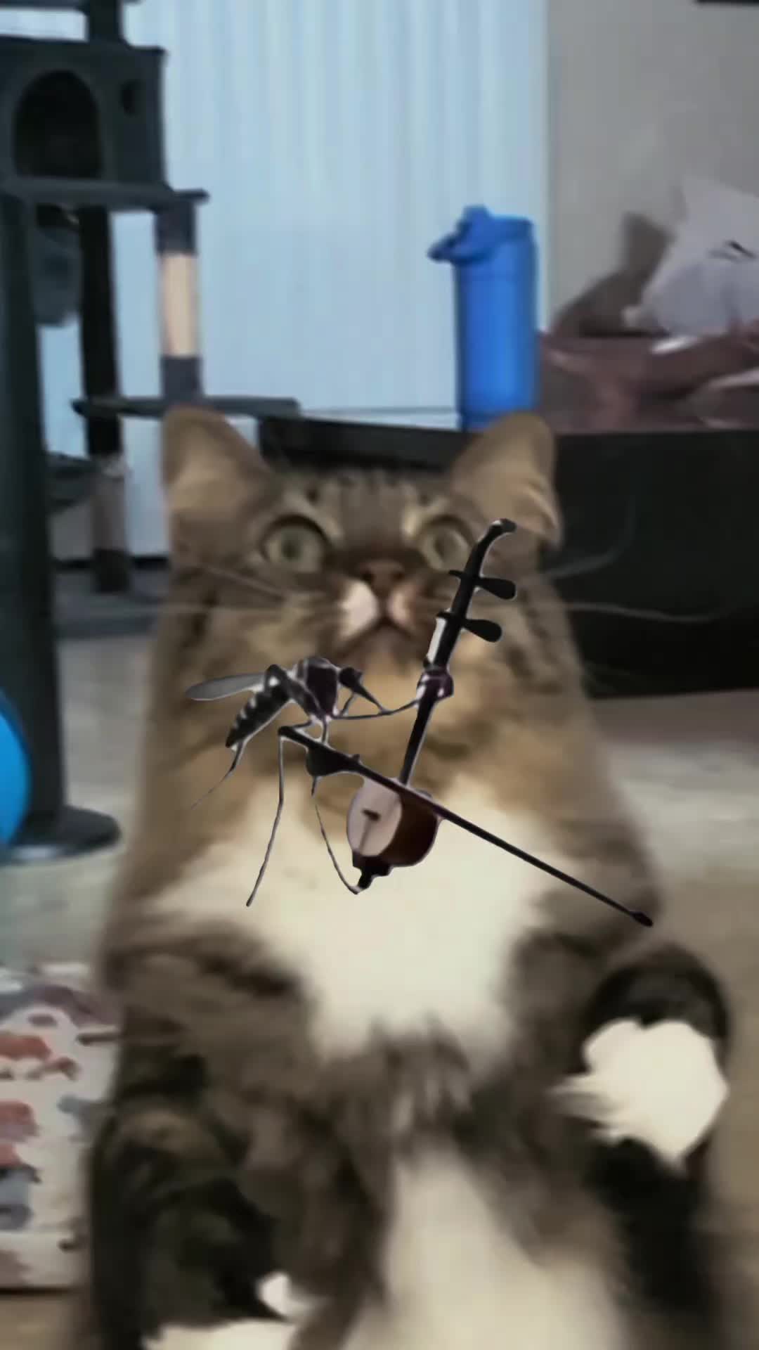 @RIEJ💘(ΦωΦ)🐈️🐾👑