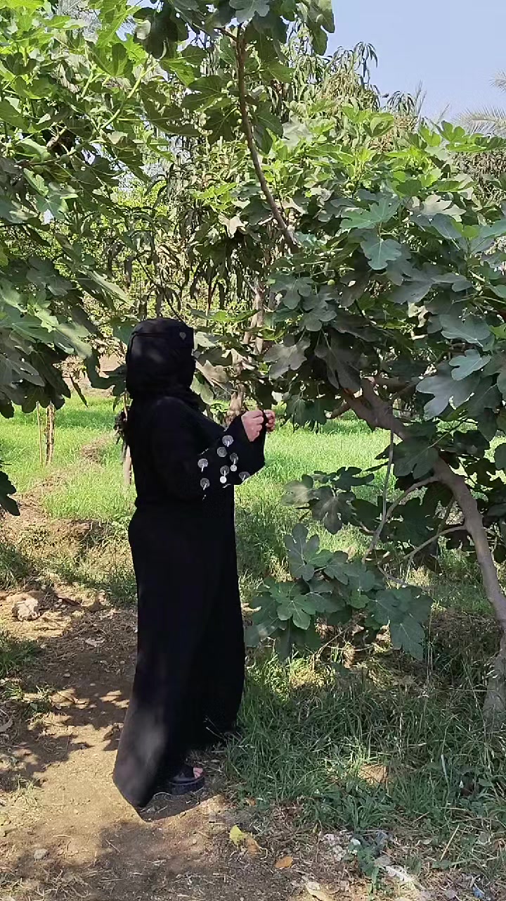 @نودى ميسي 🖤