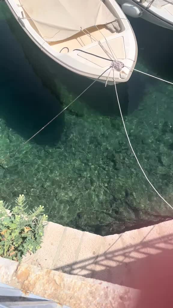@fish.