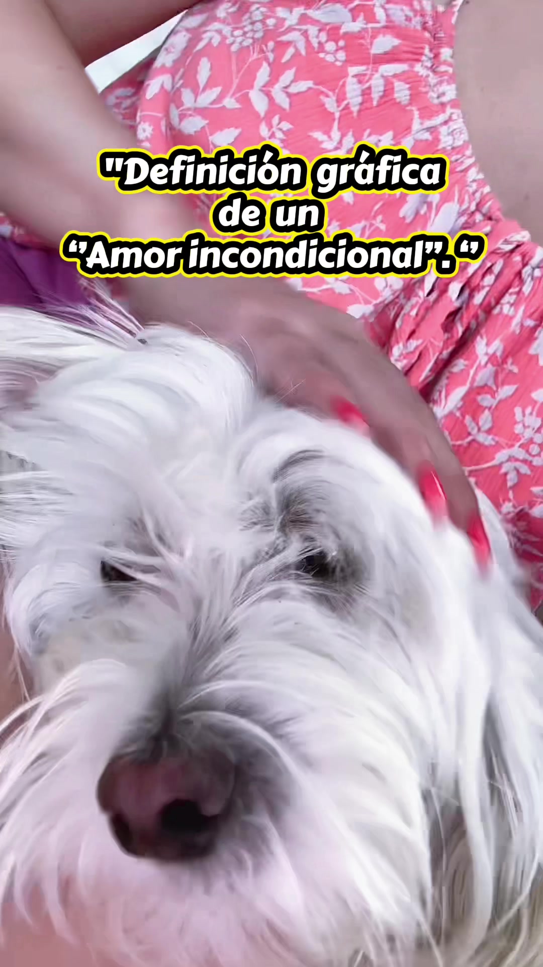 @💜Leo mi hijo de 4🐾🥰💜