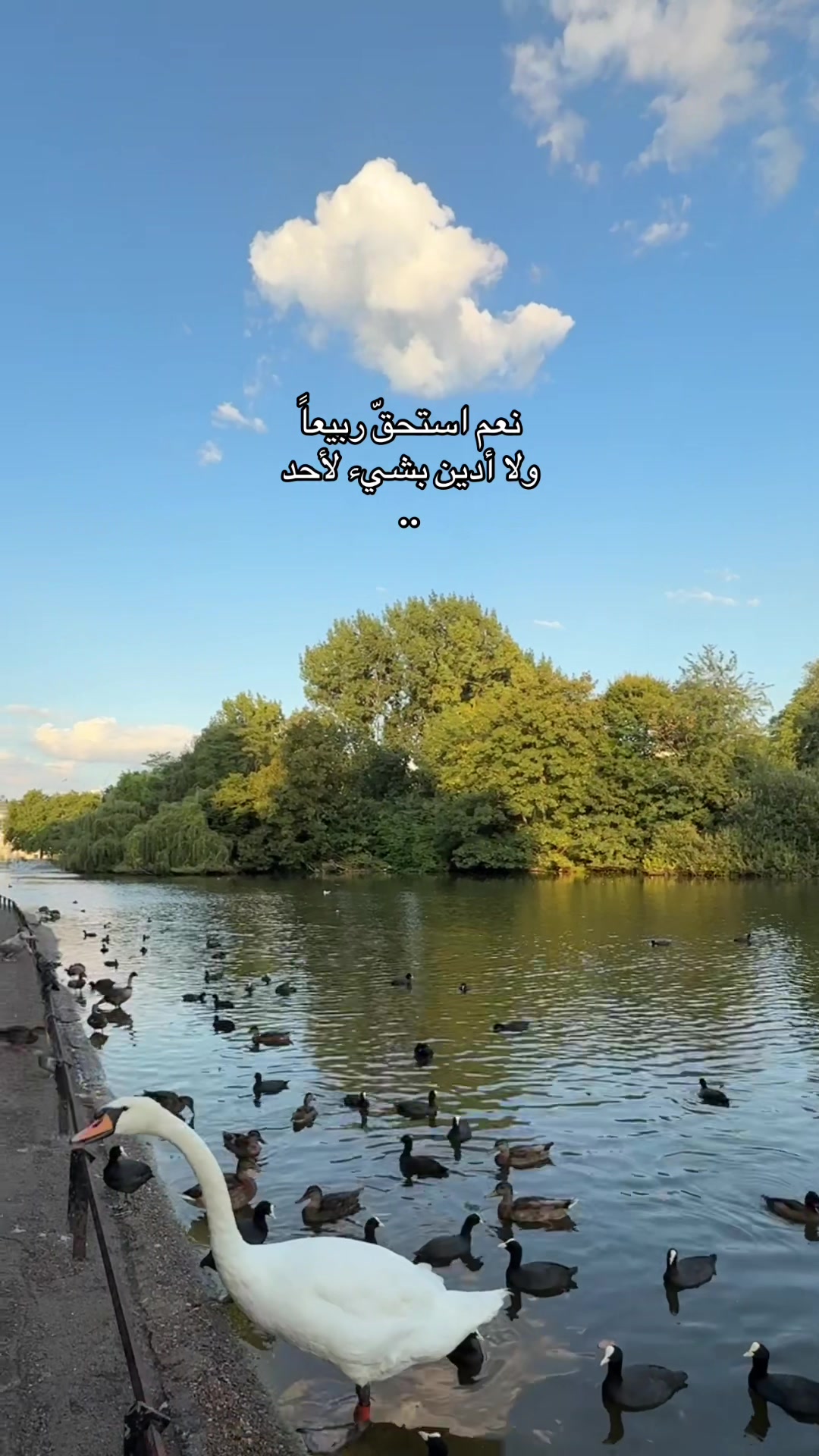 @GHADA AlZAHRANI 🕊️