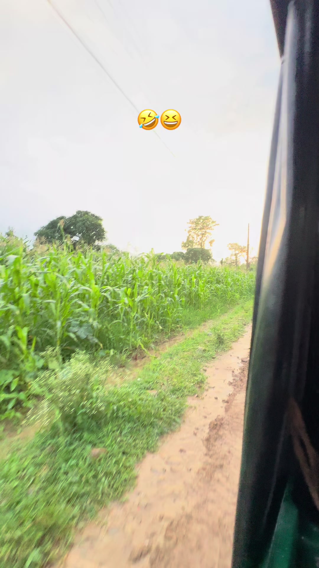 @S_A_R_A❤️🧿