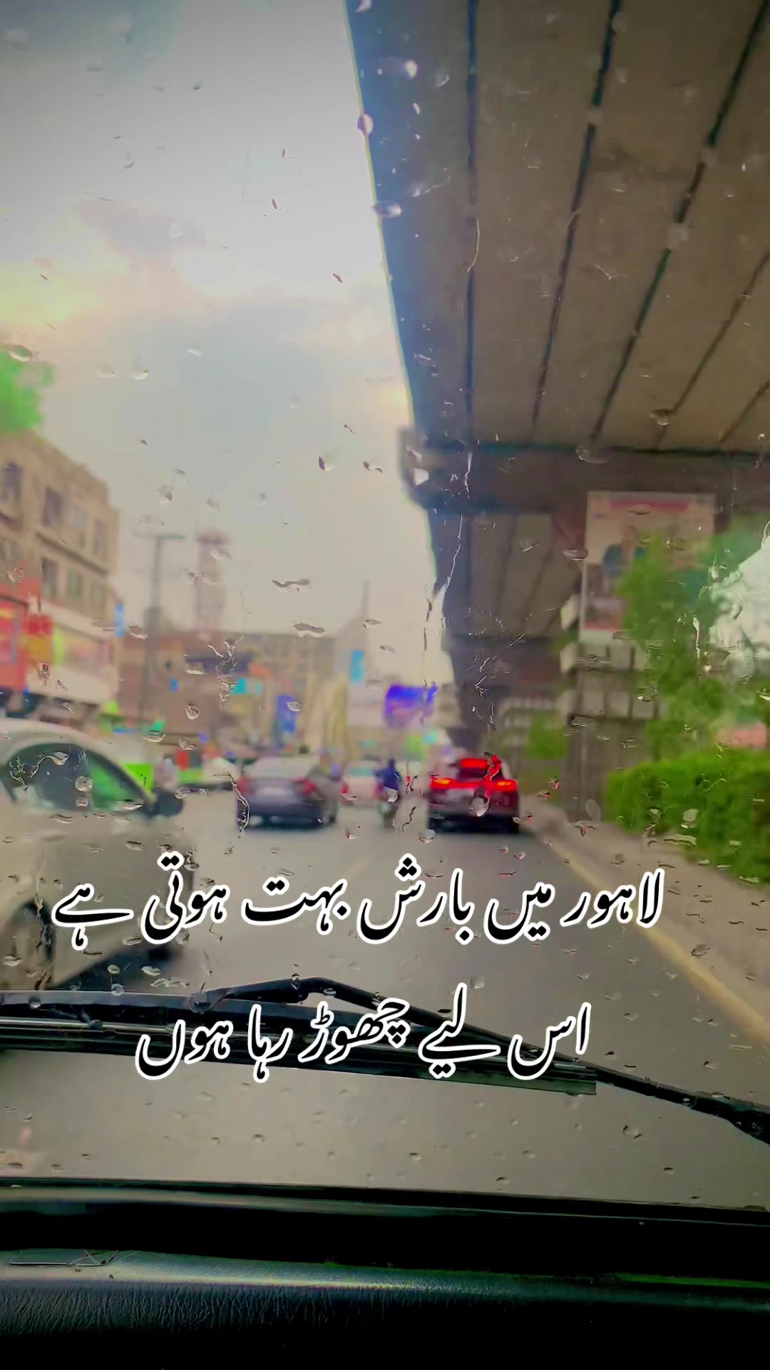 @foji sajjad