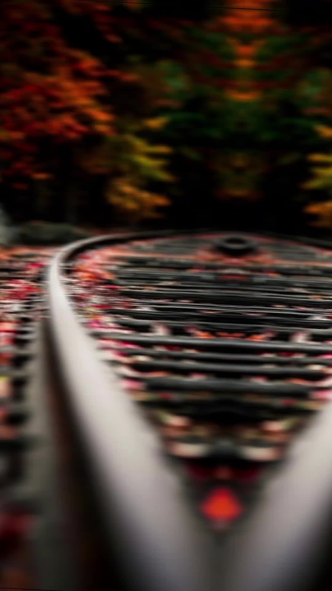 @Ꮆ Ꭼ Ꮯ Ꭼ