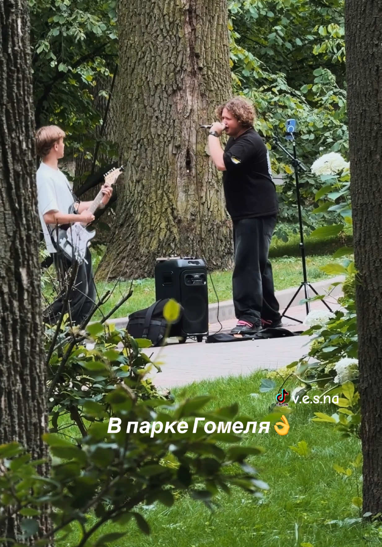 @vesna