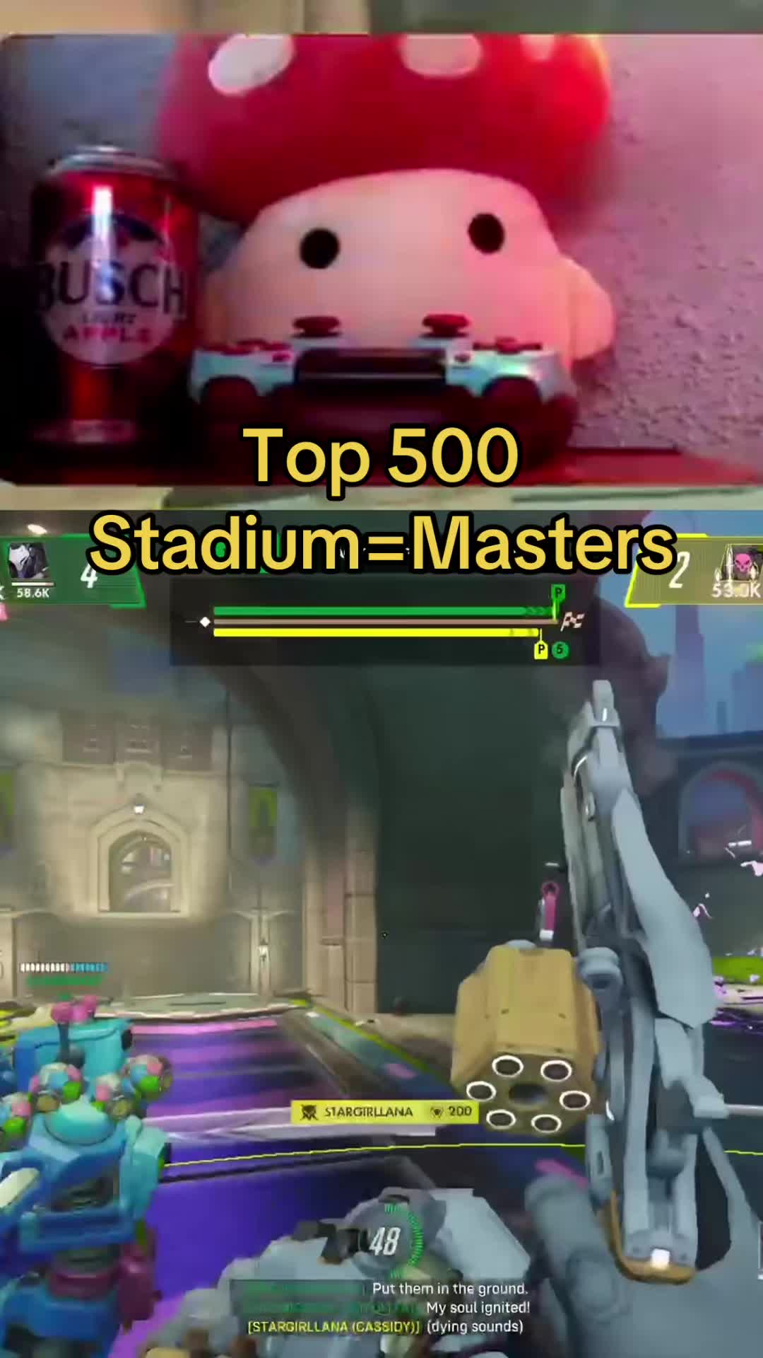 @drmushroom4