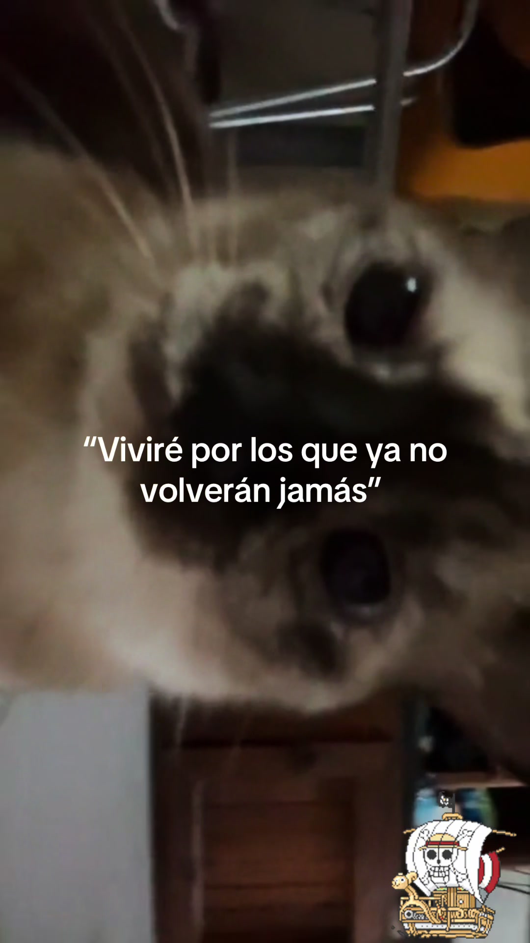 @edwinbatazz