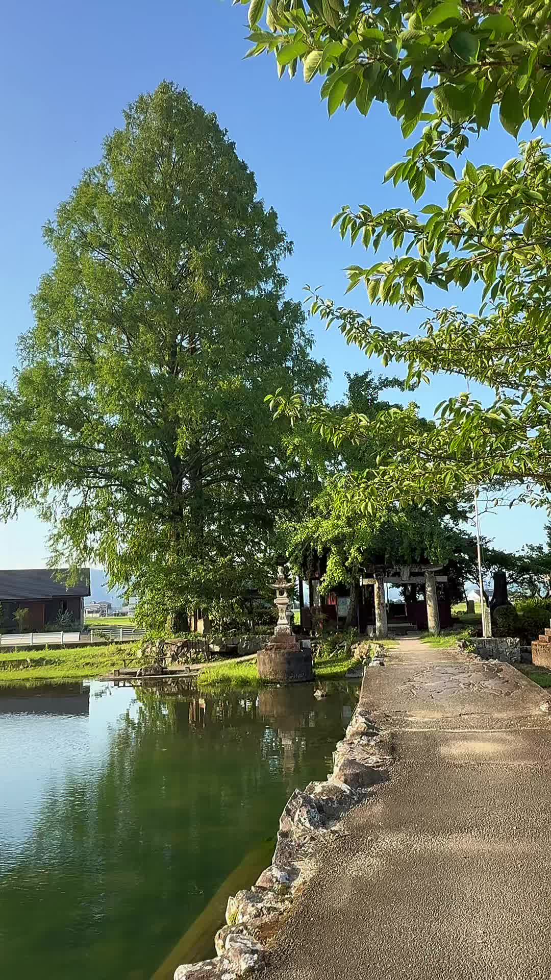 @AYAKO