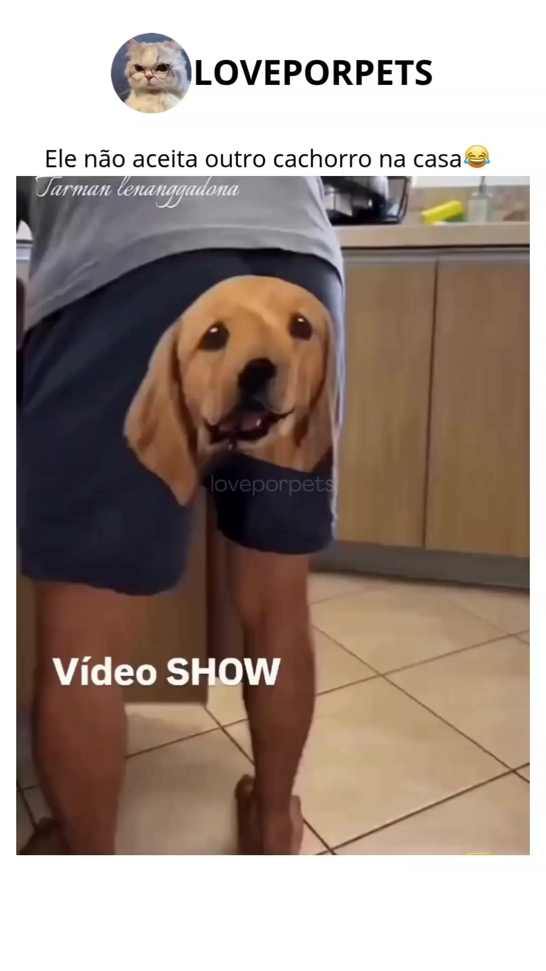 @LOVE POR PETS