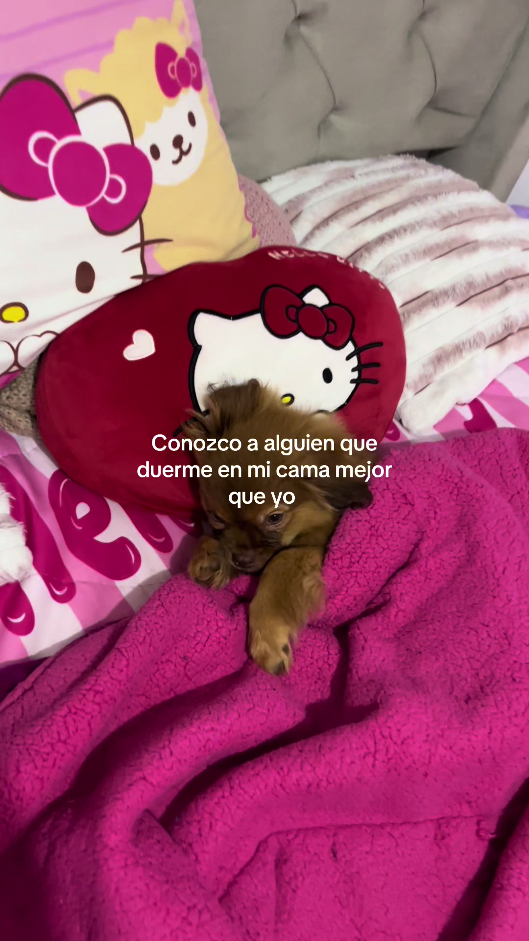 @️Kiara Lara 🎀