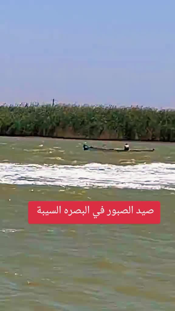 @الصياد البصري