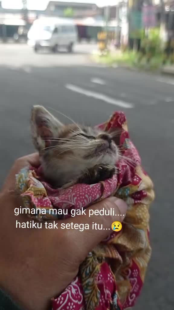 @apfia mei