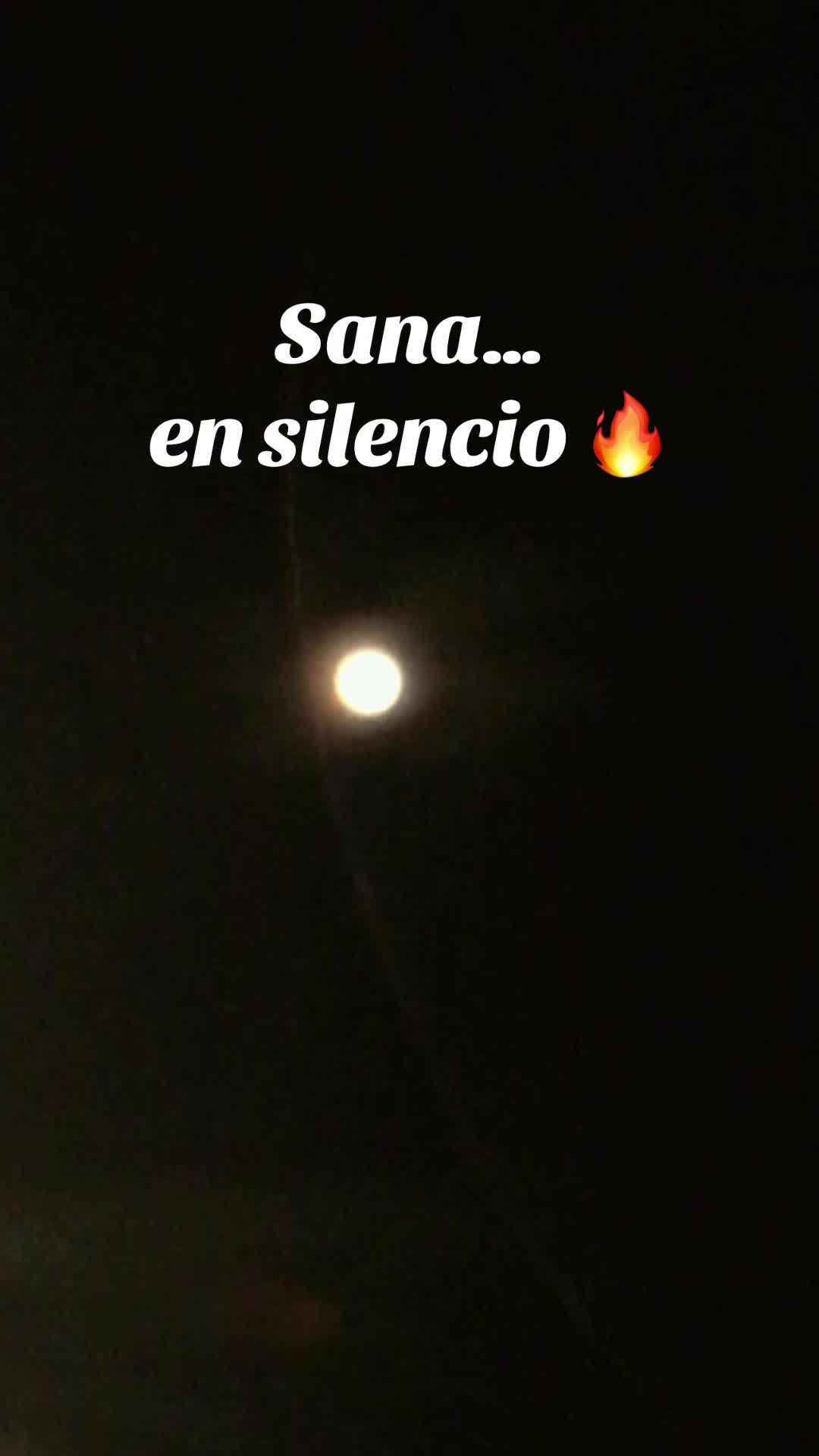 @Sophia.soufi