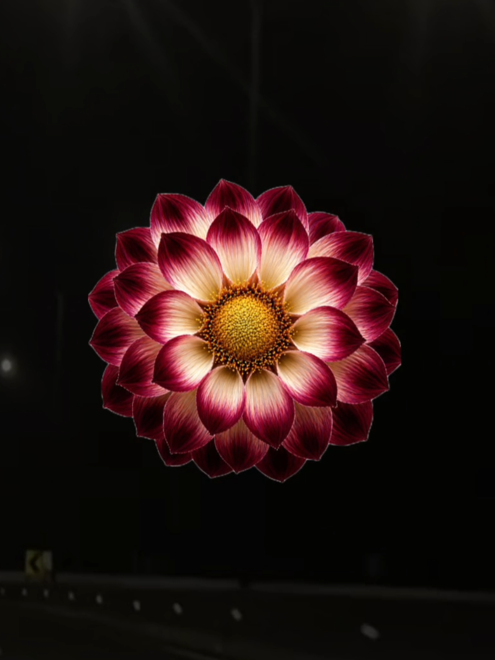 @𝐗𝐕𝐈 𝐀.𝐂