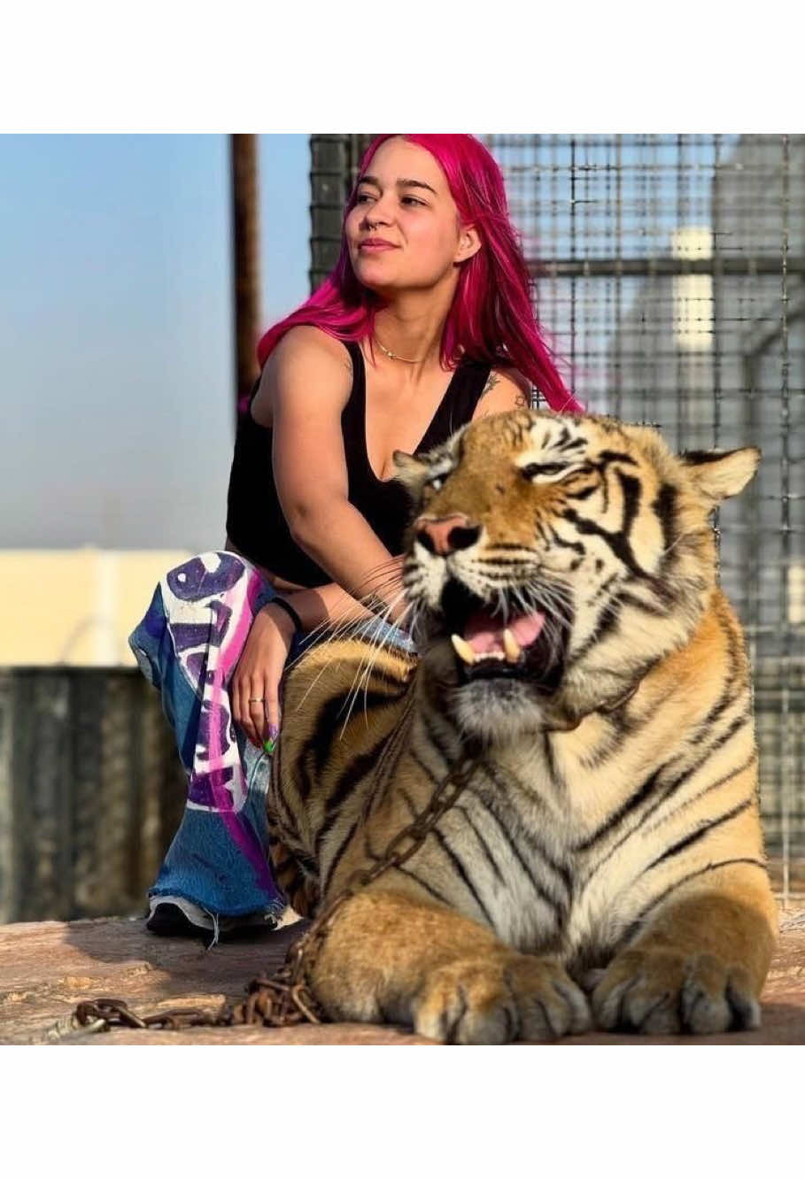 @- 𝓖abi 𝜗ৎ 𝓚at notou !!💜🥹