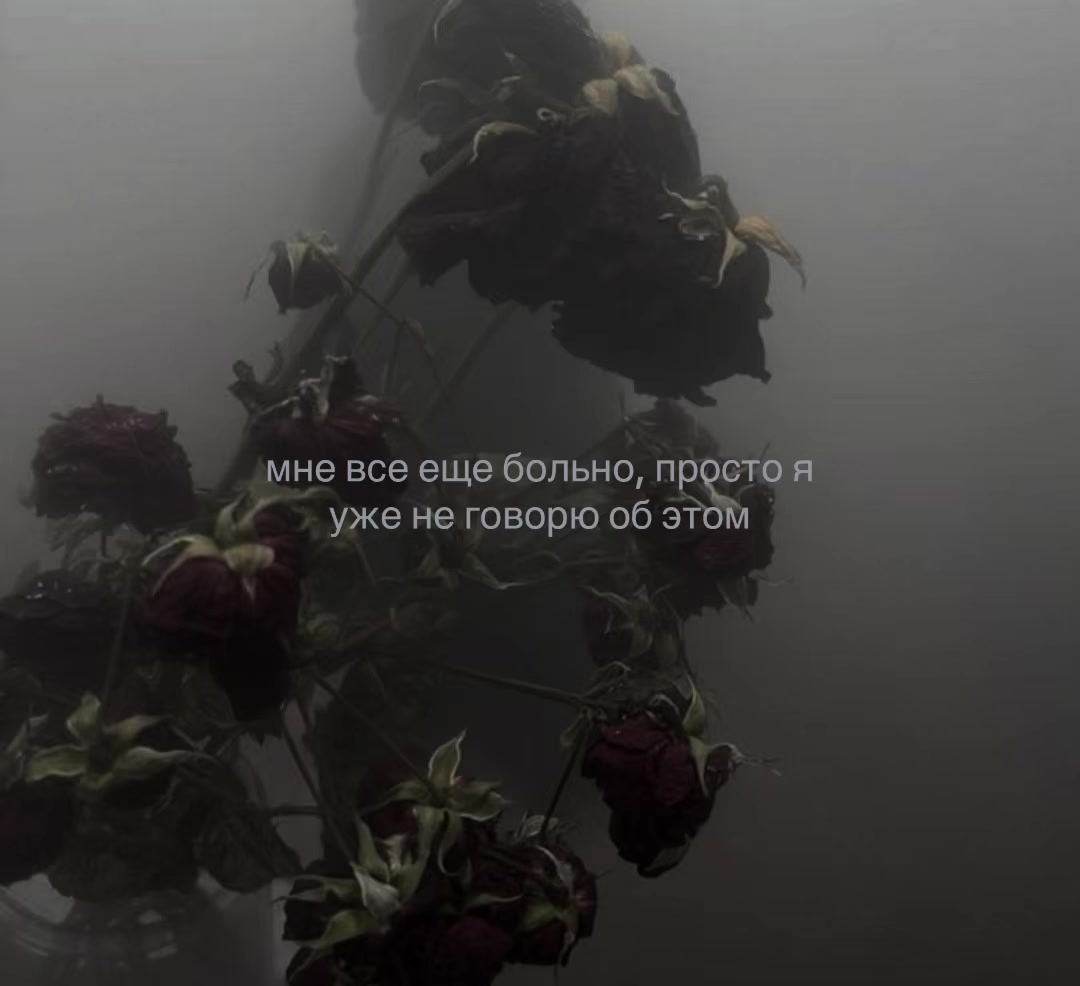@𝒏𝒊𝒈𝒉𝒕𝒎𝒂𝒓𝒆