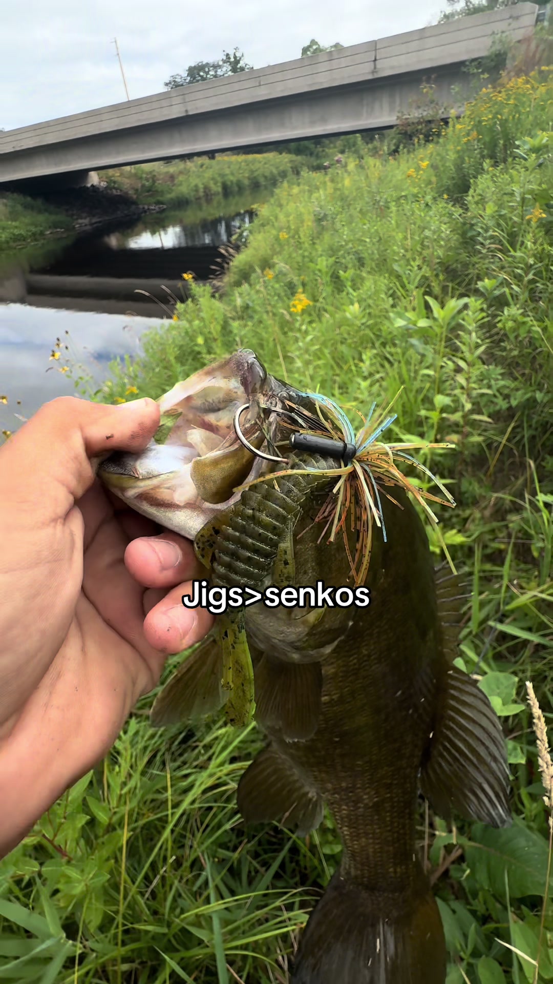 @218 fishing