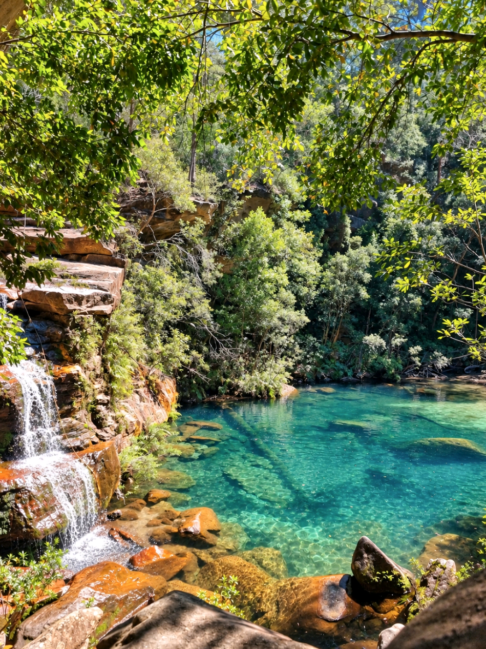 @Nature Love Australia ๐ด
