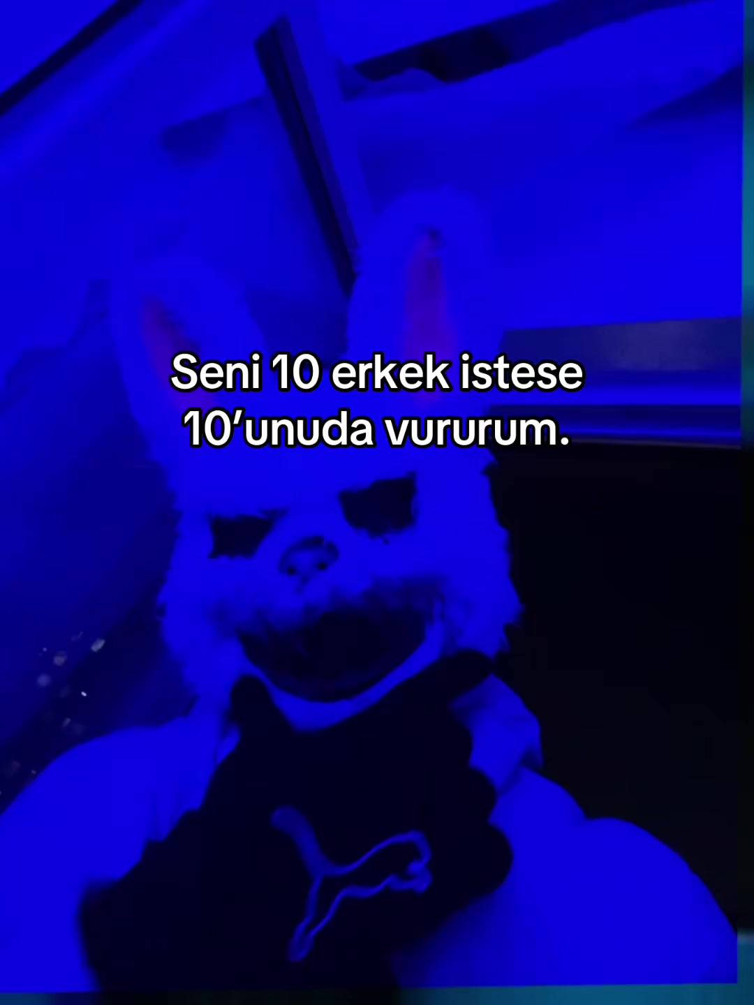 @Necoww_1