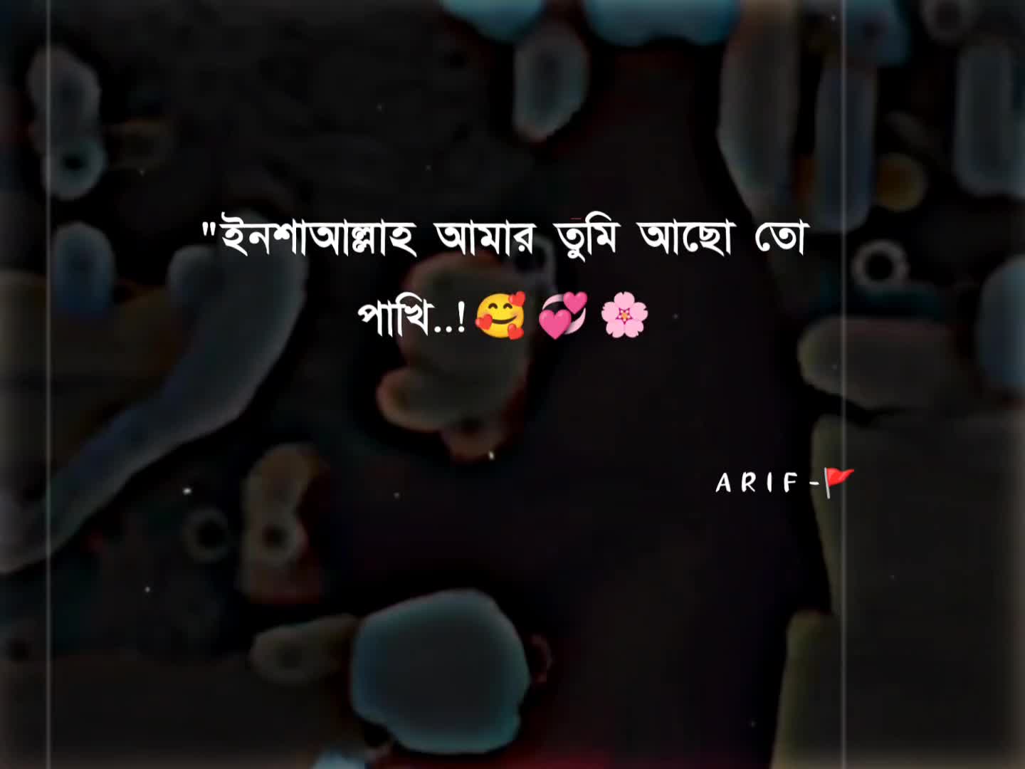 @_ð ð ð ð
-ð©