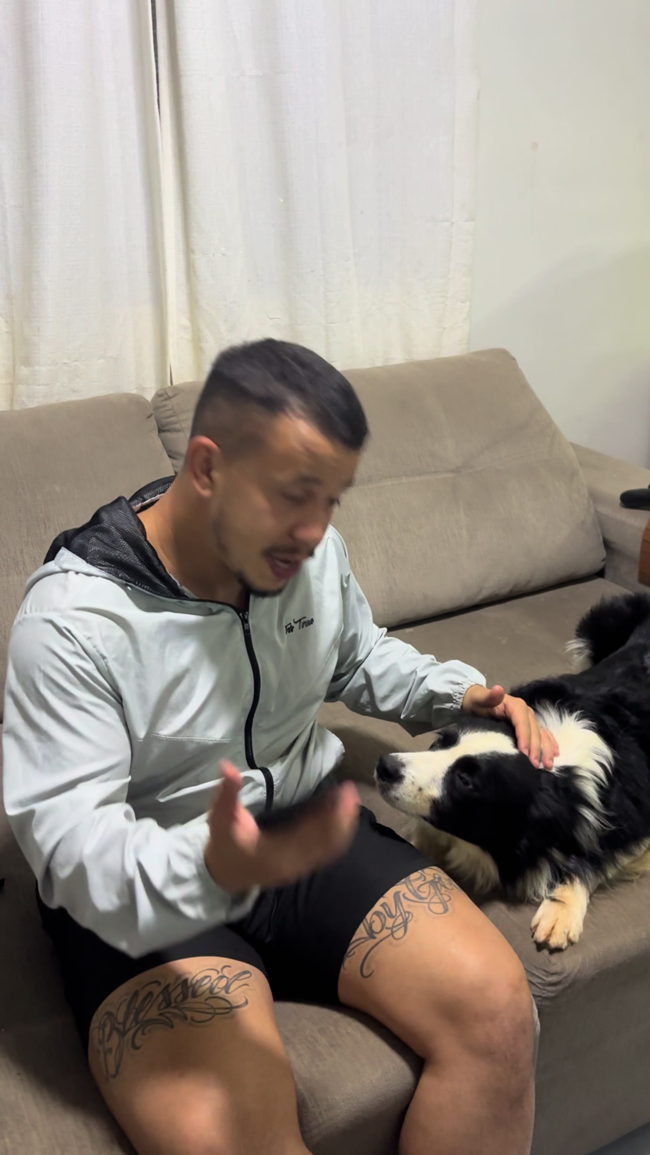 @dog_altinha
