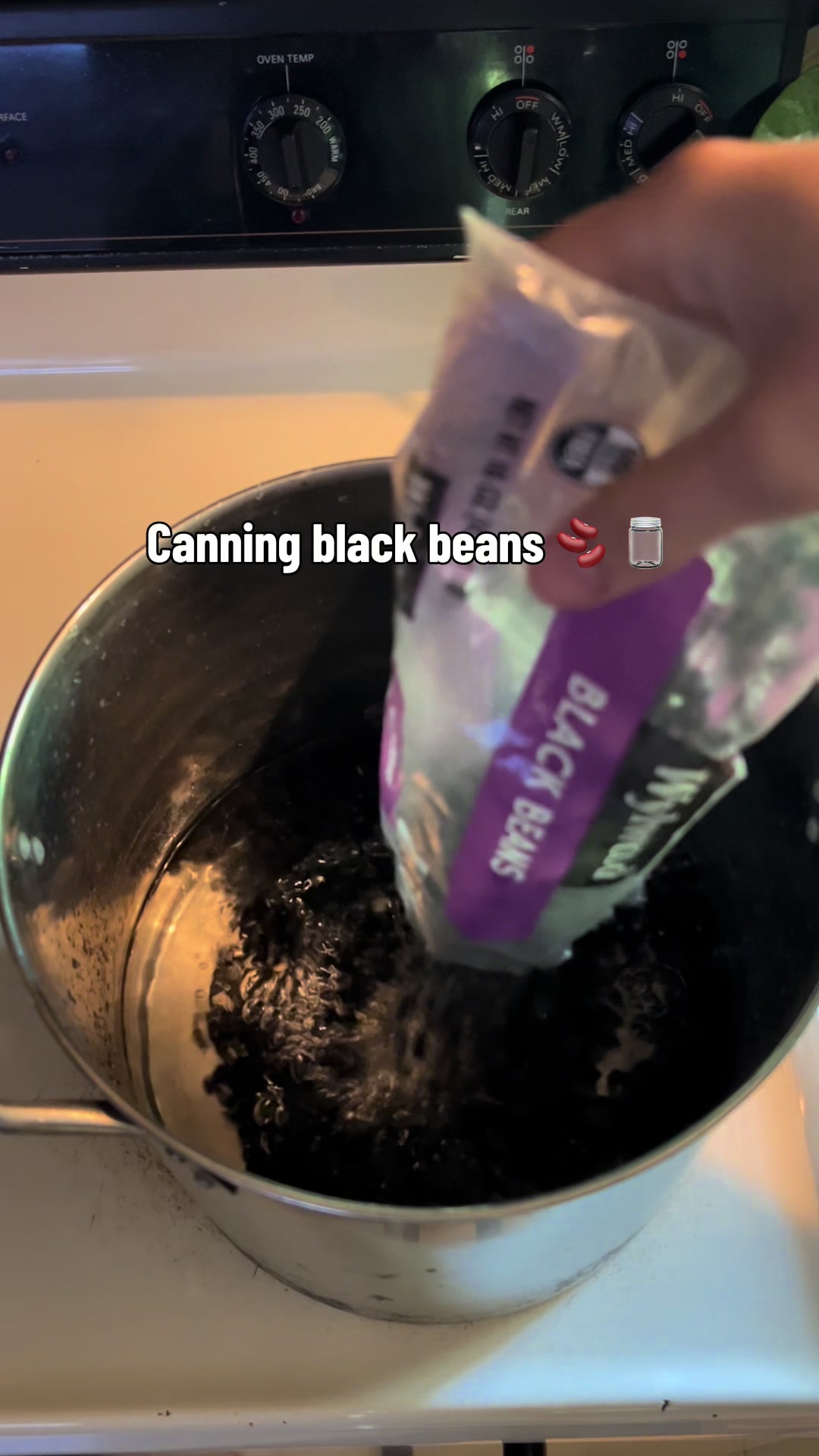 @Abby Black