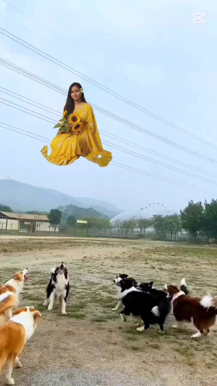 @yashodha