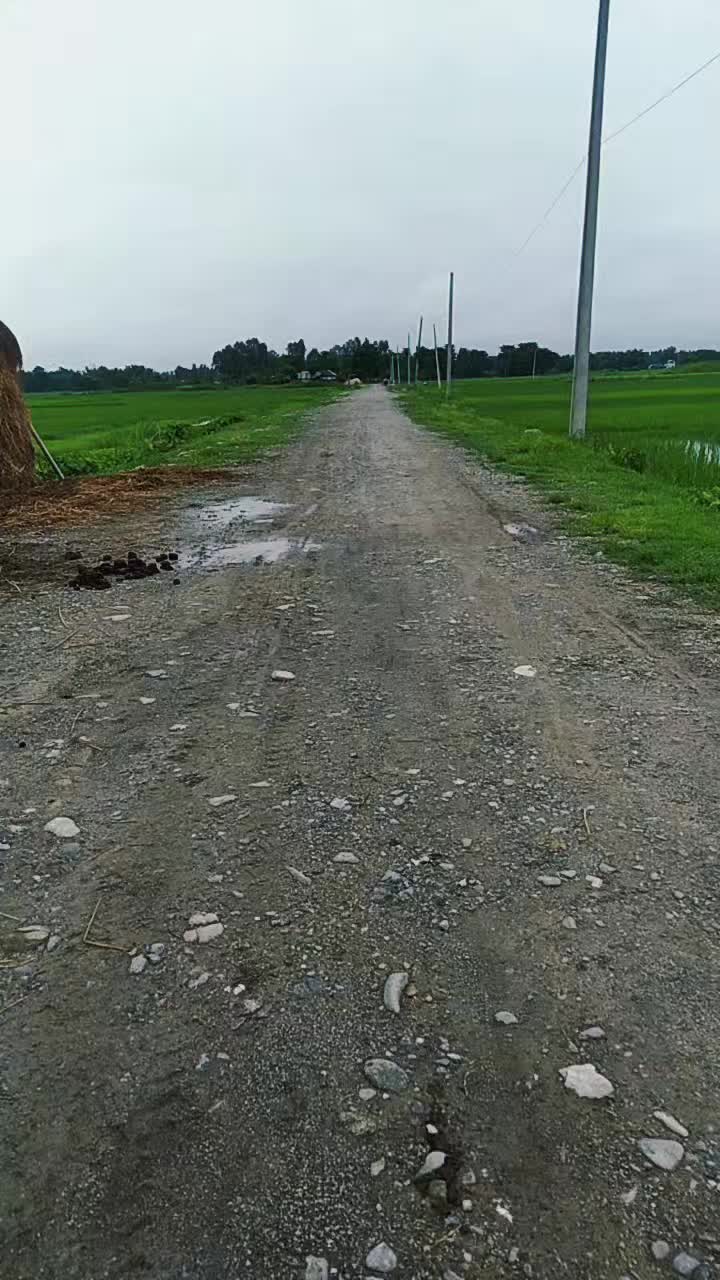 @dasdinesh76