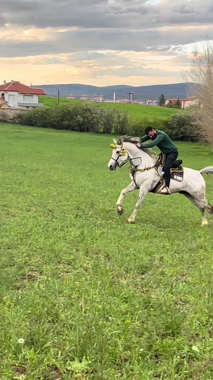 @FATİH CEYLAN