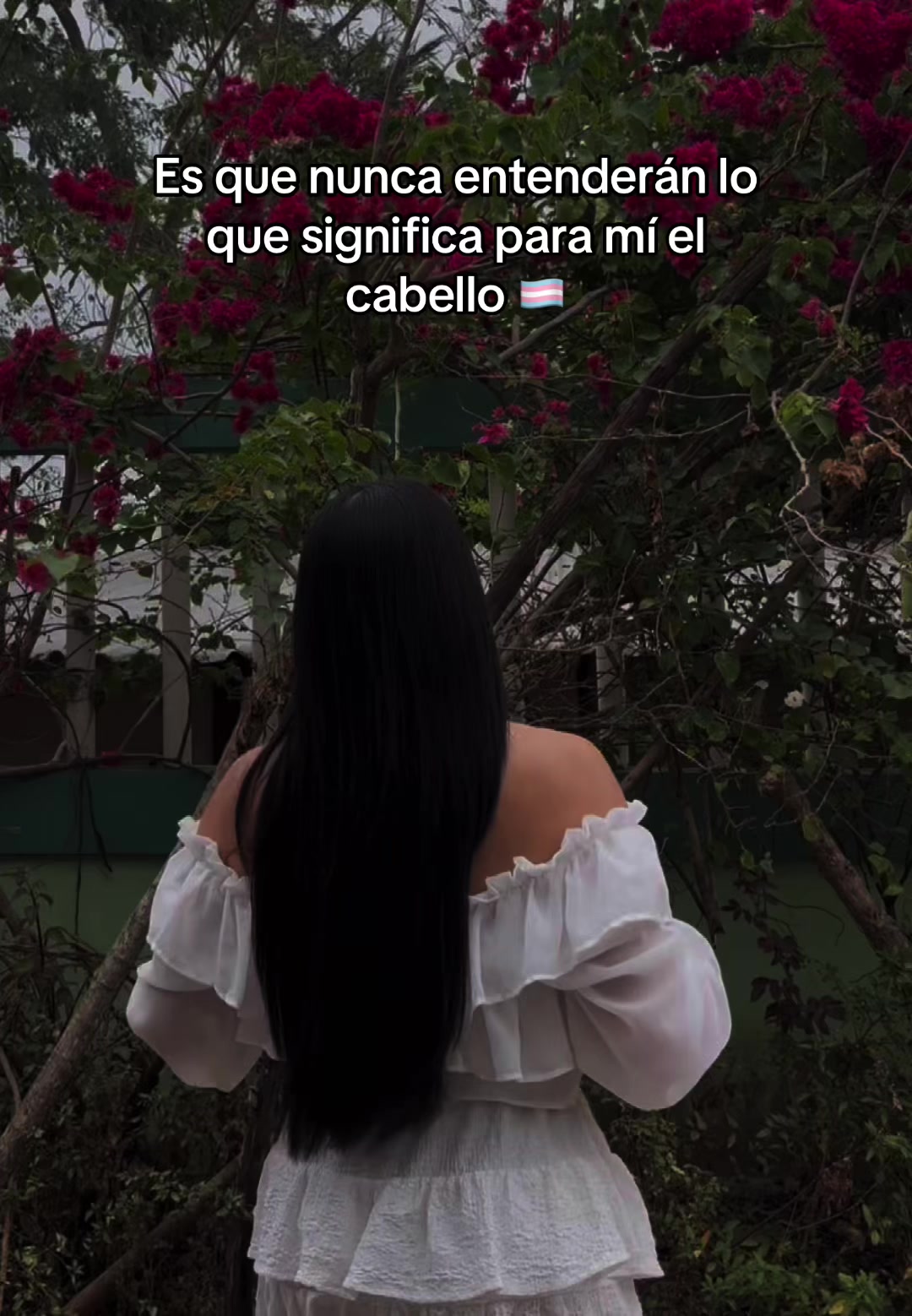 @Dani Talavera 🌟