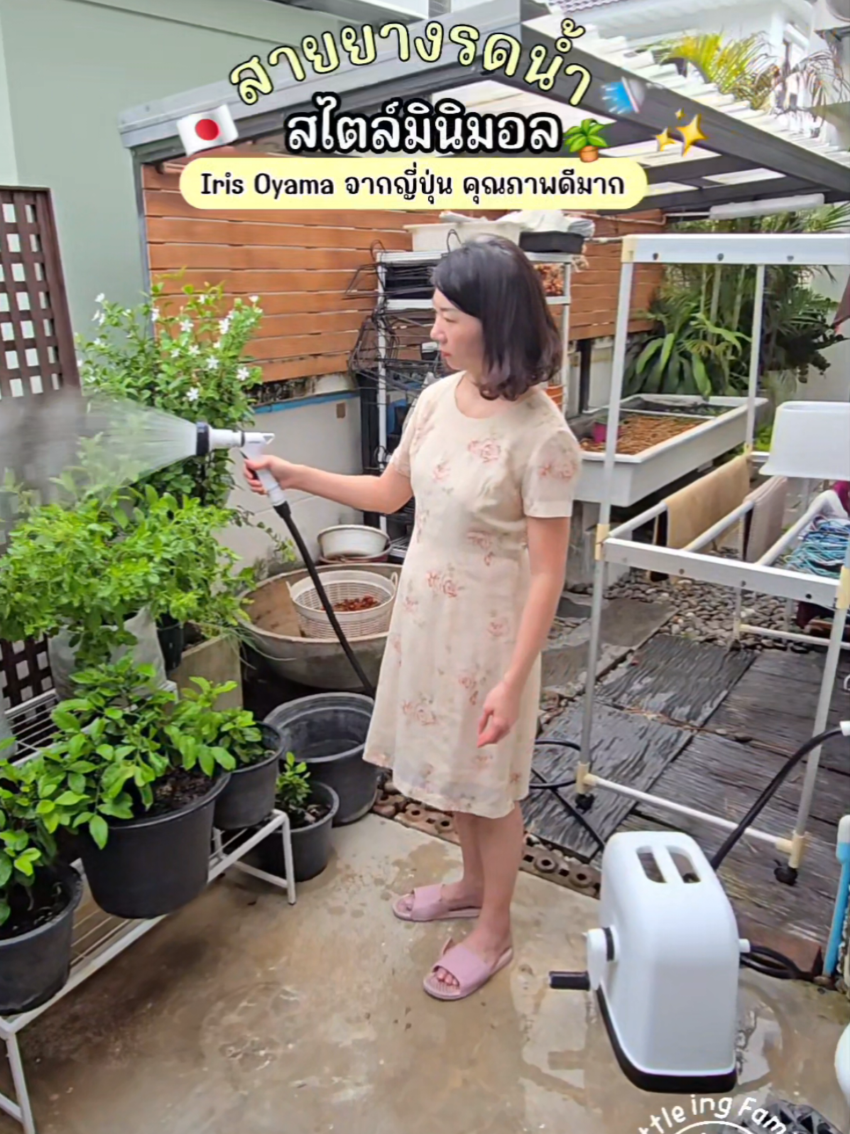 @มี้แอน LittleIng