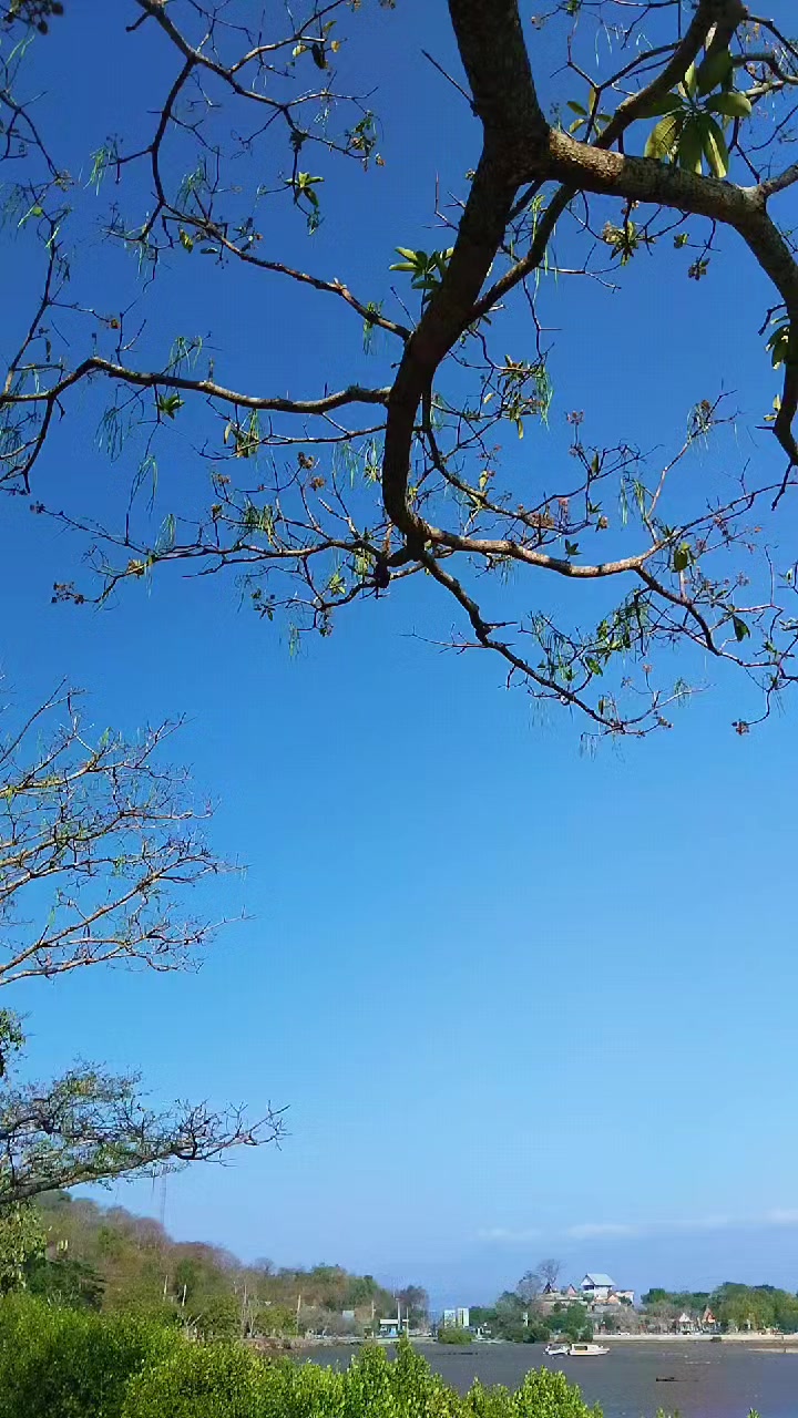 @dharaAraa