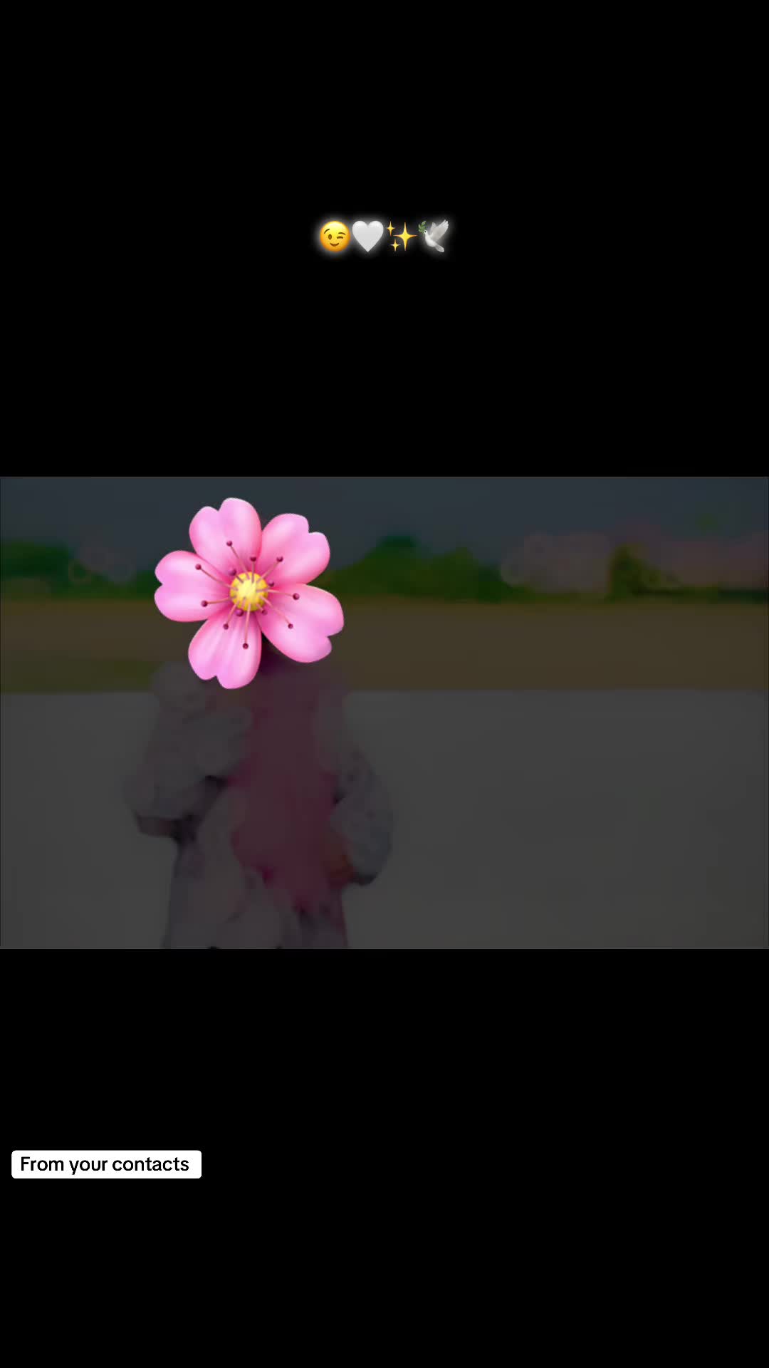 @𝑻♡