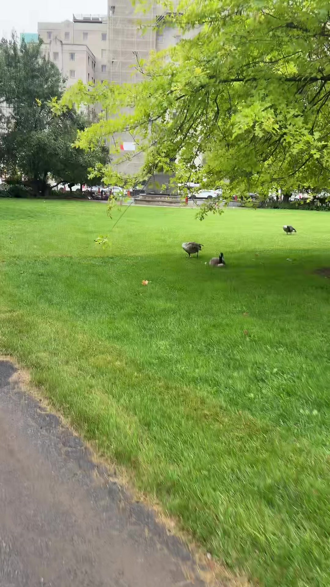 @TopOfTheWorldInuk17