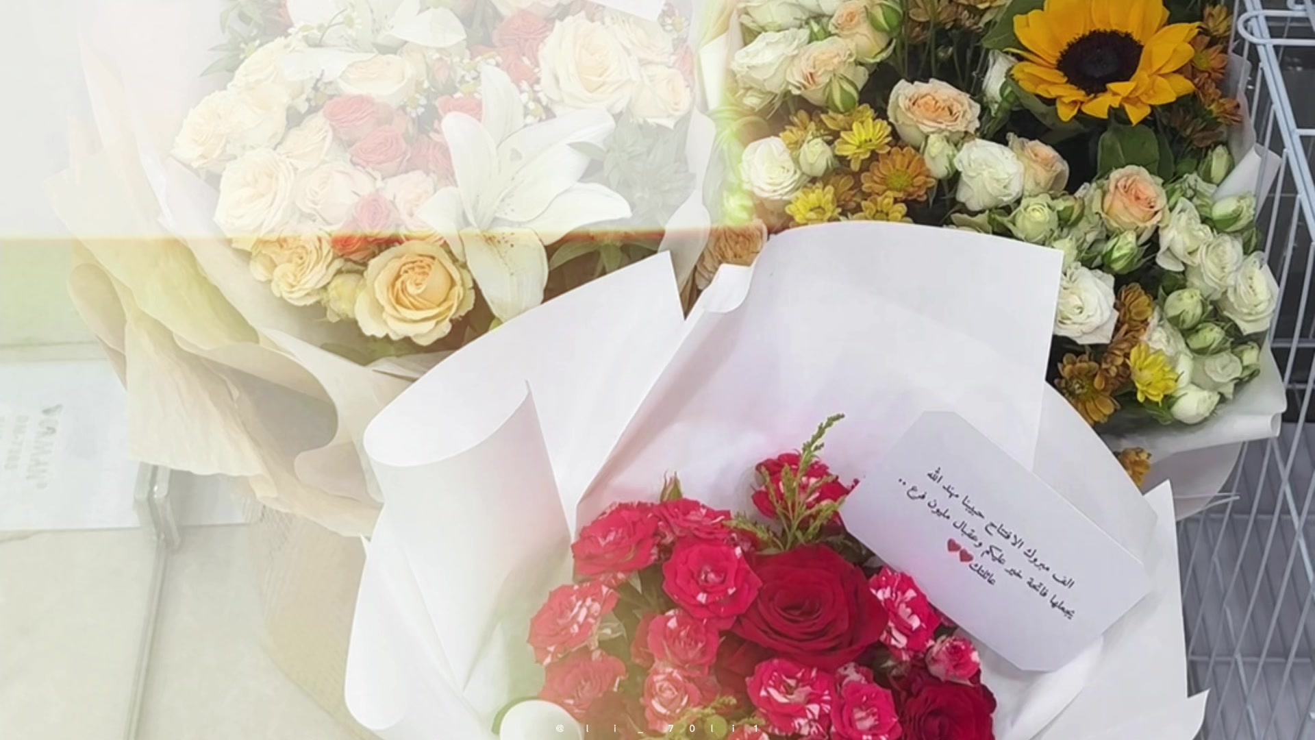 @امجاد | تغطيات ❣️